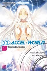 Accel World, Vol. 16 (light novel) цена и информация | Фантастика, фэнтези | kaup24.ee