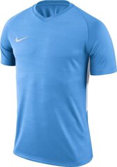 T-särk Nike Jersey, sinine цена и информация | Футбольная форма и другие товары | kaup24.ee