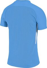 T-särk Nike Jersey, sinine цена и информация | Футбольная форма и другие товары | kaup24.ee