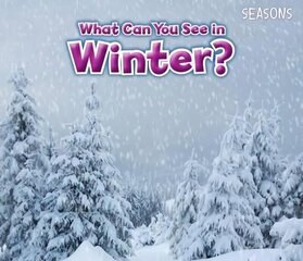 What Can You See In Winter? цена и информация | Книги для малышей | kaup24.ee