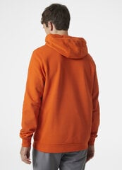 Helly Hansen meeste dressipluus HH LOGO, oranž hind ja info | Meeste pusad | kaup24.ee