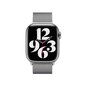 Apple Watch Milanese Loop SILVER 38-40-41mm hind ja info | Nutikellade ja nutivõrude tarvikud | kaup24.ee