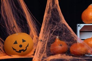 Декорация на Halloween «Паутина с пауками», оранжевая (PAJPO-NP) 6684 цена и информация | Праздничные декорации | kaup24.ee