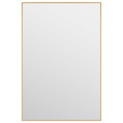vidaXL uksepeegel, kuldne, 40 x 60 cm, klaas ja alumiinium hind ja info | Peeglid | kaup24.ee