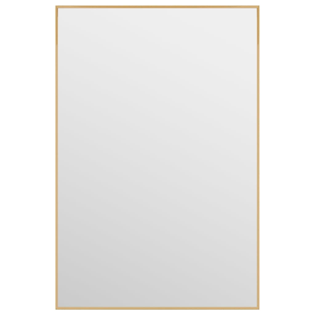 vidaXL uksepeegel, kuldne, 40 x 60 cm, klaas ja alumiinium цена и информация | Peeglid | kaup24.ee