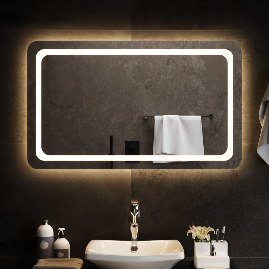vidaXL LED vannitoapeegel, 100 x 60 cm hind ja info | Peeglid | kaup24.ee