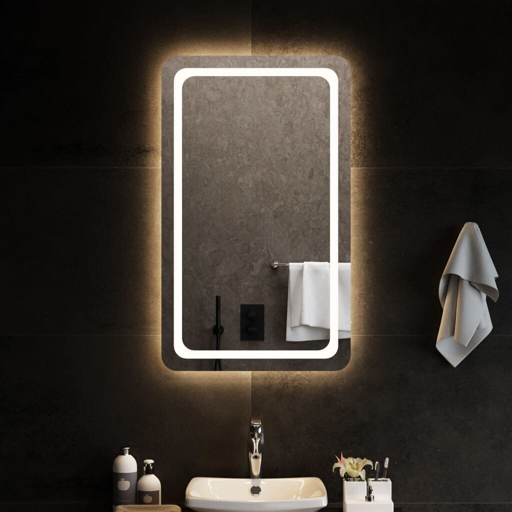 vidaXL LED vannitoapeegel 60 x 100 cm hind ja info | Peeglid | kaup24.ee