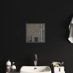 vidaXL LED-vannitoapeegel, 30x30 cm hind ja info | Peeglid | kaup24.ee