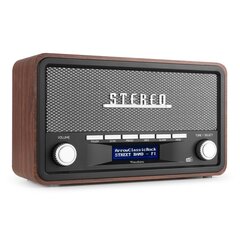 Audizio Foggia Retro DAB+ Радио Серый цена и информация | Радиоприемники и будильники | kaup24.ee