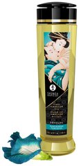 Массажное масло Shunga Sensual Island Blossoms, 240 мл цена и информация | Массажные масла | kaup24.ee