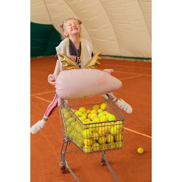 Fooliumist õhupall Lendav põrsas, roosa hind ja info | Õhupallid | kaup24.ee