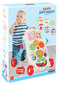 Baby Walker - Muusikaga - Roosa цена и информация | Imikute mänguasjad | kaup24.ee