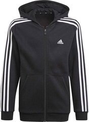 Dressipluus poistele Adidas Performance GQ8900 hind ja info | Poiste kampsunid, vestid ja jakid | kaup24.ee