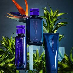 Шампунь для увеличения объема R+Co Blue Ingenious thickening Shampoo, 251 мл цена и информация | Шампуни | kaup24.ee