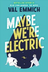 Maybe We're Electric цена и информация | Книги для подростков и молодежи | kaup24.ee