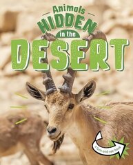 Animals Hidden in the Desert цена и информация | Книги для подростков и молодежи | kaup24.ee