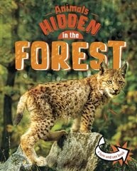 Animals Hidden in the Forest цена и информация | Книги для подростков и молодежи | kaup24.ee