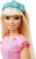 Barbie kassipojaga hind ja info | Tüdrukute mänguasjad | kaup24.ee