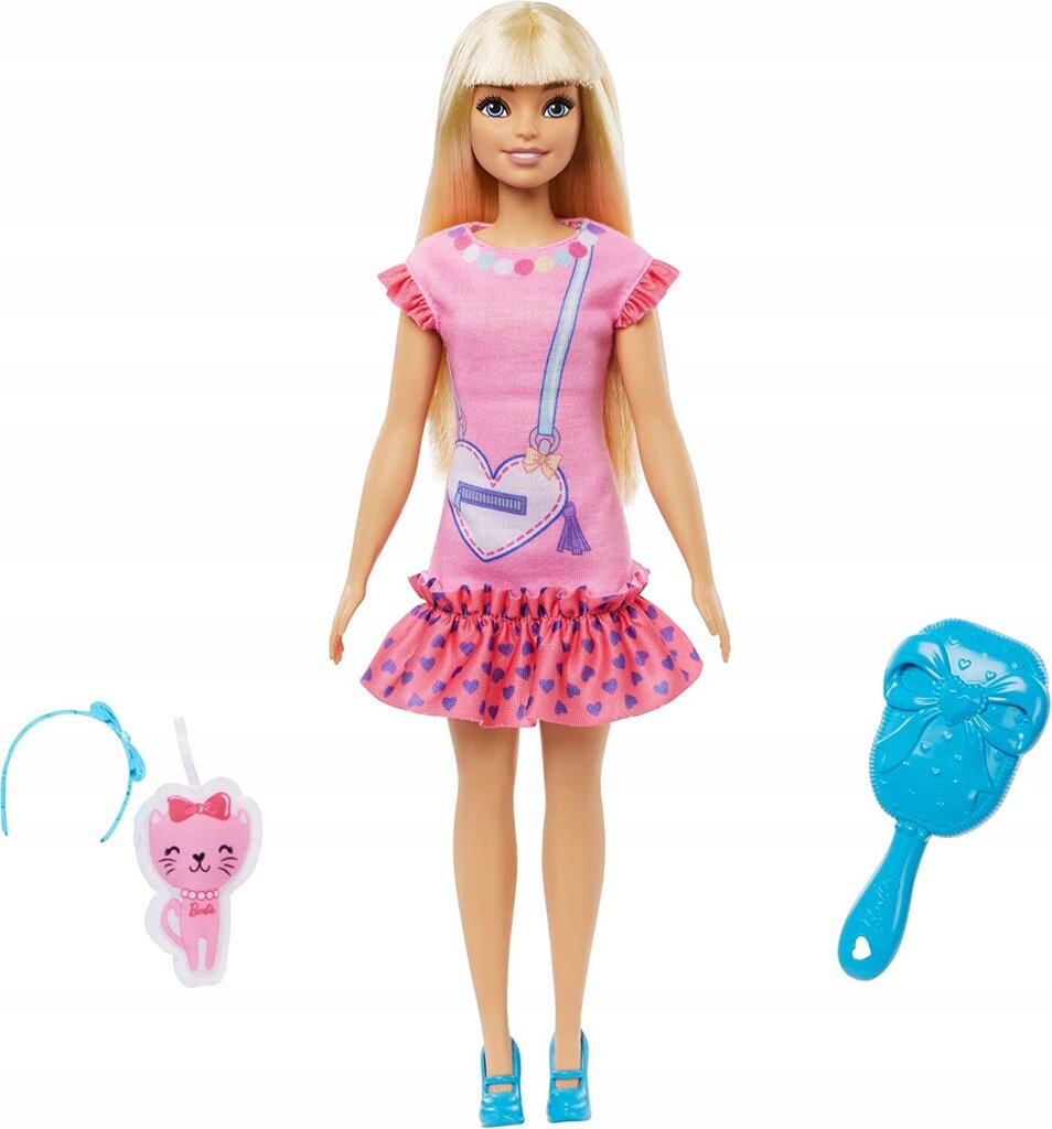 Barbie kassipojaga hind ja info | Tüdrukute mänguasjad | kaup24.ee
