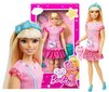 Barbie kassipojaga hind ja info | Tüdrukute mänguasjad | kaup24.ee