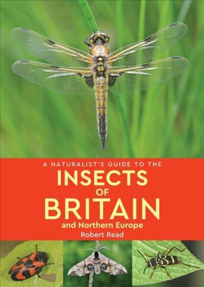 Naturalist's Guide to the Insects of Britain and Northern Europe 2nd Revised edition hind ja info | Tervislik eluviis ja toitumine | kaup24.ee