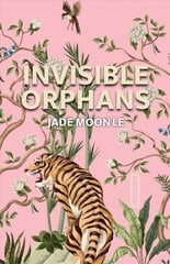 Invisible Orphans цена и информация | Фантастика, фэнтези | kaup24.ee
