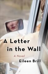 Letter in the Wall: A Novel hind ja info | Fantaasia, müstika | kaup24.ee