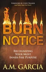 Burn Notice: Recognizing Your Most Inner-Fire Purpose цена и информация | Духовная литература | kaup24.ee