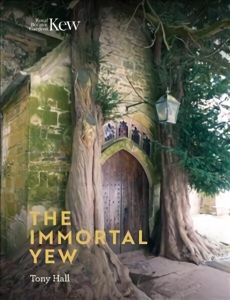 Immortal Yew, The hind ja info | Entsüklopeediad, teatmeteosed | kaup24.ee