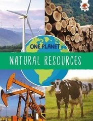 Natural Resources цена и информация | Книги для подростков и молодежи | kaup24.ee