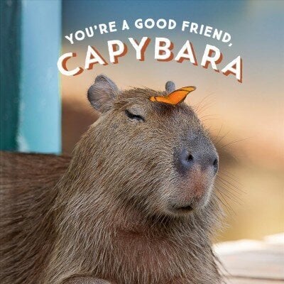 You're a Good Friend, Capybara hind ja info | Fantaasia, müstika | kaup24.ee