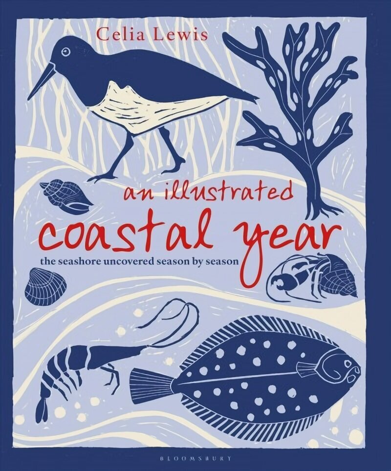 Illustrated Coastal Year: The seashore uncovered season by season цена и информация | Kunstiraamatud | kaup24.ee