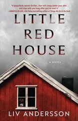 Little Red House цена и информация | Фантастика, фэнтези | kaup24.ee