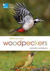 RSPB Spotlight Woodpeckers цена и информация | Энциклопедии, справочники | kaup24.ee