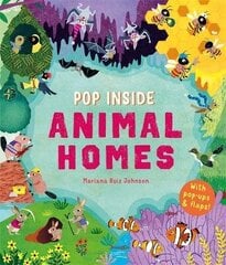 Pop Inside: Animal Homes hind ja info | Väikelaste raamatud | kaup24.ee