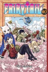 Fairy Tail 40, 40 цена и информация | Фантастика, фэнтези | kaup24.ee