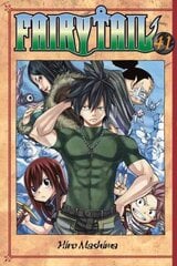 Fairy Tail 41, 41 цена и информация | Фантастика, фэнтези | kaup24.ee