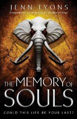 Memory of Souls цена и информация | Фантастика, фэнтези | kaup24.ee