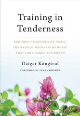 Training in Tenderness: Buddhist Teachings on Tsewa, the Radical Openness of Heart That Can Change the World цена и информация | Духовная литература | kaup24.ee