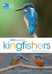 RSPB Spotlight Kingfishers цена и информация | Книги о питании и здоровом образе жизни | kaup24.ee