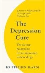 Depression Cure: The Six-Step Programme to Beat Depression Without Drugs цена и информация | Самоучители | kaup24.ee