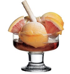 Стакан для десерта Ice Ville, 6 штук цена и информация | Посуда, тарелки, обеденные сервизы | kaup24.ee