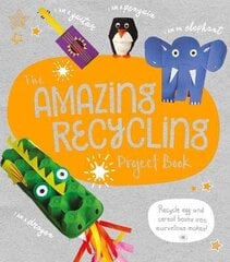 Amazing Recycling Project Book: Recycle egg and cereal boxes into marvellous makes! цена и информация | Книги для подростков и молодежи | kaup24.ee