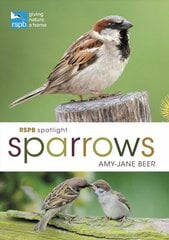 RSPB Spotlight Sparrows цена и информация | Энциклопедии, справочники | kaup24.ee