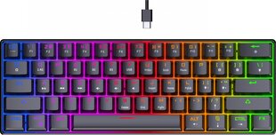 Preyon Brown All Claw Gateron Brown Hot Swap PBAC61B цена и информация | Клавиатура с игровой мышью 3GO COMBODRILEW2 USB ES | kaup24.ee