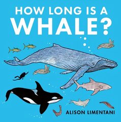 How Long is a Whale? hind ja info | Väikelaste raamatud | kaup24.ee
