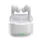 Devia Bluetooth earphones TWS Star E1 white with ANC цена и информация | Kõrvaklapid | kaup24.ee