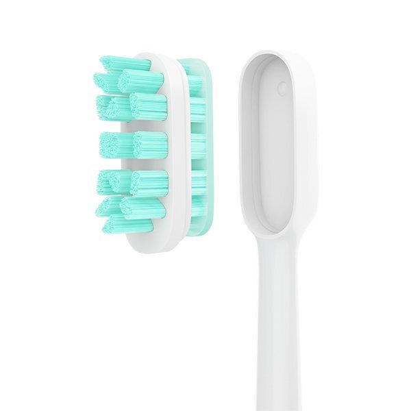 Xiaomi Mi hind ja info | Elektriliste hambaharjade otsikud | kaup24.ee