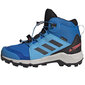 Laste matkasaapad Adidas Terrex Mid Gtx K Jr GY7682, sinine hind ja info | Laste saapad | kaup24.ee