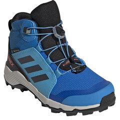 Laste matkasaapad Adidas Terrex Mid Gtx K Jr GY7682, sinine hind ja info | Laste saapad | kaup24.ee